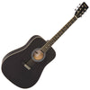 Encore Acoustic Guitar