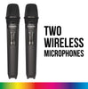 KAM Dual Microphone Fixed-Channel System