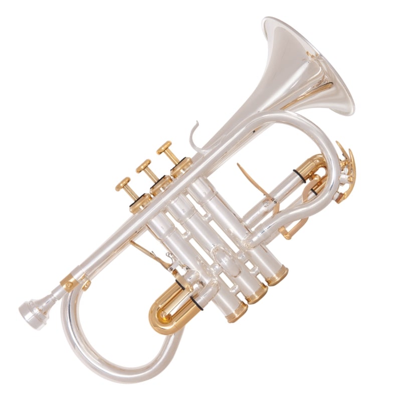 Odyssey trumpet new arrivals
