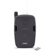 KAM Portable 8" Speaker with Bluetooth® ~ 450w