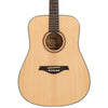 Vintage Performer Series Acoustic Folk Guitar ~ Natural Gloss