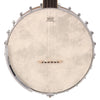 Vintage Shady Grove 3 ~ Open Back Banjo