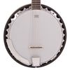 Vintage Progress ~ Guitar Banjo