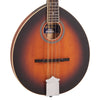 Vintage Redwood ~ Round Soundhole Mandolin