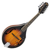 Vintage Redwood – A-Style Electro-Acoustic Mandolin 'F' Holes