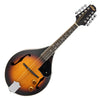 Vintage Redwood – A-Style Electro-Acoustic Mandolin 'F' Holes