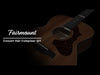 Godin Fairmount Composer Element Electro-Acoustic Guitar